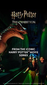Ready your robes and wands for the most comprehensive touring exhibition ever presented about Harry Potter.⚡️ | Harry Potter: The Exhibition
