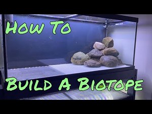 How to Build a Biotope Aquarium