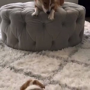 나도 나도 나도 나도 나도 거기 올라갈래!! >> http://mr-s.co.kr/ 남자쇼핑몰 대한민국 1위 미스터스트릿 | 미스터스트릿