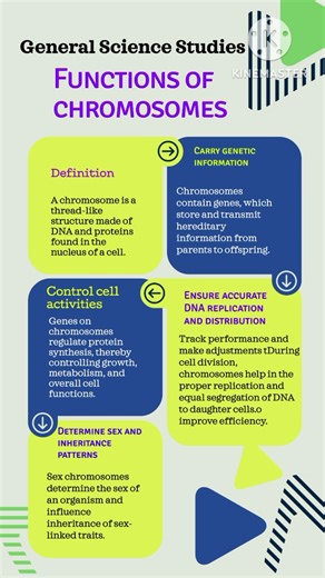 General Science Studies |Chromosomes & Functions of chromosomes |Genetics |Biology