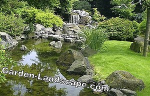 Garden Practice: Pests in the garden pond | 2025