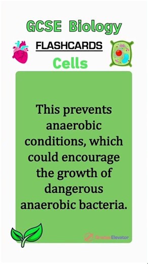 Quick BIOLOGY flashcards to boost your understanding #revision #gcserevision #combinedscience