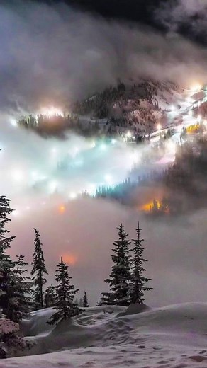 Saving Endangered Animals to Preserve Our Planet