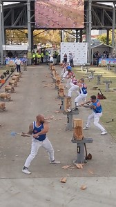 Wood chopping | 3D Movies