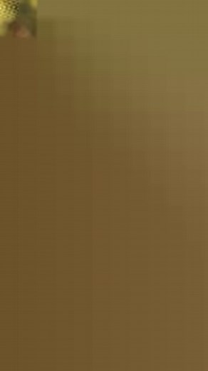 6.9K views · 168 reactions | The United States Air Force Band's Max Impact had a year chock-full of fantastic performances, incredible audiences, and celebrated events! Our year in review took us from sea to shining sea, to our own backyard, and wherever we could reach you! Max Impact is thrilled to see what 2024 has in store for the band! Thank you, and Happy New Year!  #USAFBands #MaxImpact #RockintheNewYear | The United States Air Force Band | Facebook