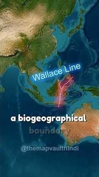 A invisible line that's name Wallace Line #geographythroughmaps #geography #map