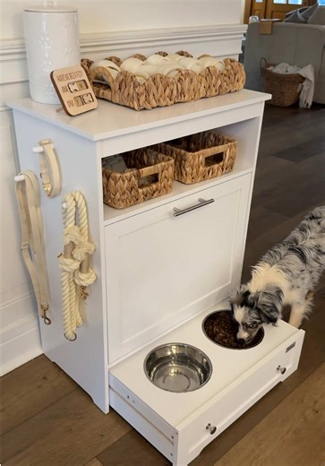Amazon pet find! I love the way this cabinet looks plus it has a drawer to hold food and water bowls, it has a large drawer to hold extra dog food, and it has extra shelving to hold baskets for treats, dog toys, and other pet items! It also has pegs on the side to hold dog leashes and collars!! #petfinds #petessentials #amazonpetfinds #amazonfinds #amazonhome