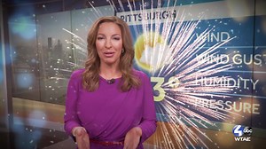 14K views · 583 reactions | The WTAE team wants to wish everyone a happy and safe New Year! | WTAE-TV Pittsburgh | Facebook