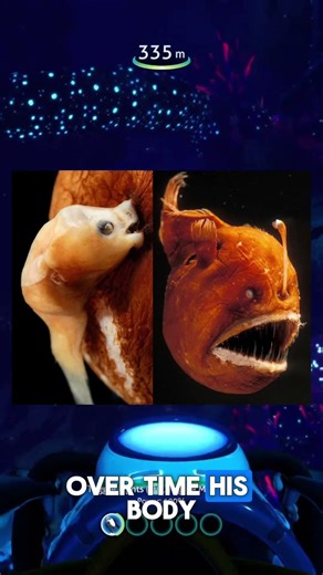 The Strangest Mating Strategy in the Ocean