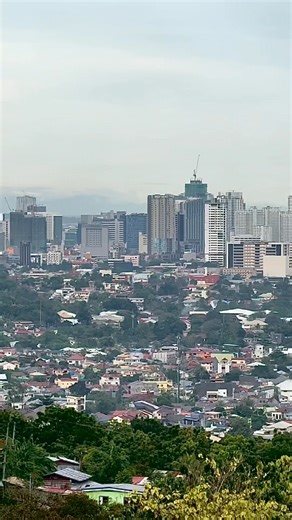 Sounds of a forest in an urban setup 😊 Murag daghan pag langgam (ibon sa Tagawg) sa Cebu City 🦆🐓 #CebuCity | SkyscraperCity - Cebu Updates