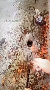 Unclogging drains on Reels