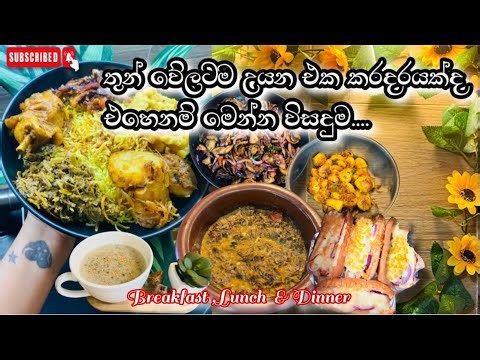 මේ විදියට හදා ගත්තනම් තුන් වේලම සතුටින් /Breakfast ,Lunch & Dinner Recipe /Sinhala/Fr.Diaries 🇫🇷