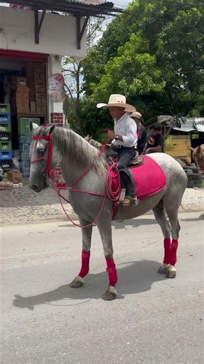 El mero mero