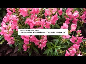 ஆதாரத்துடன் வந்த ராஜி! **எனது சொந்தக் கற்பனைக்கதை** (personal imagination)