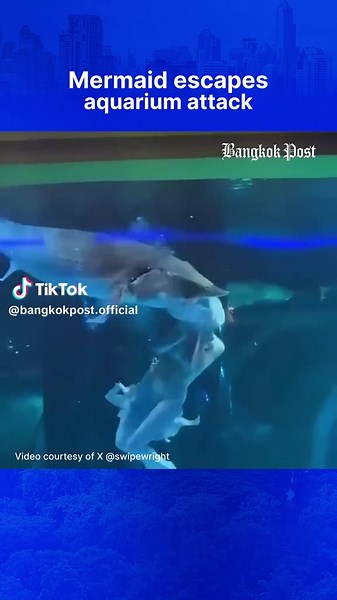 Mermaid Show Incident: Actress Bitten by Sturgeon in Yunnan