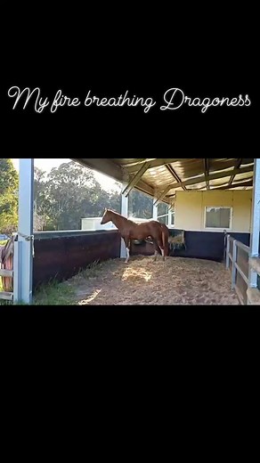 My fire breathing Dragoness. Utterly content in her self Queen of my heart 🩷 | Susie Anderson