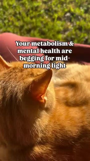 Everyone talks about sunrise & UVB- but I think UVA needs more air time! Here are some AMAZING benefits for your metabolism & mental health from UVA light (plus, how to get it!) ✨ Boosts Mood: UVA light stimulates neurotransmitters like dopamine and serotonin. More dopamine = motivation. More serotonin = a happier, better mood. 🔥 Supports Your Metabolism: UVA light regulates ACTH (Adrenocorticotropic Hormone), which balances cortisol levels for steady energy and blood sugar. Plus, it helps conv