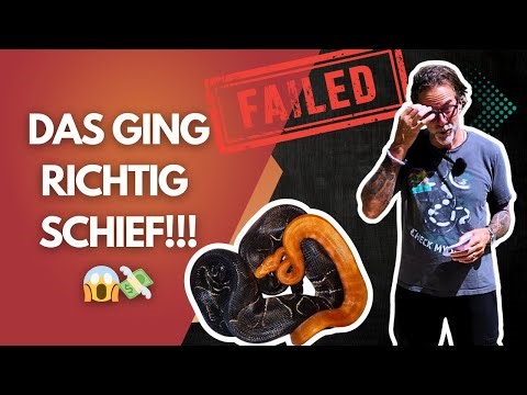 Embarrassing, expensive, unnecessary: ​​I'll never forget these reptile flops! 😂🦎