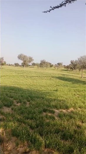 6 मार्च 2026