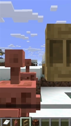 coffin in minecaft