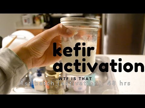 THE KEFIR GRAIN ACTIVATION PROCESS... what to expect on your journey