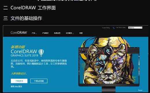 【CorelDRAW /CDR(完整50集VIP课程）平面设计高品质输出的矢量图教学】CorelDRAW Graphics Suite