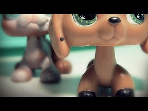 Littlest Pet Shop: The Runaway (Episode #2)