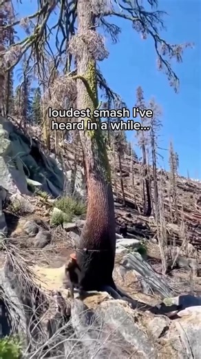 Sustainable Cleaning Tips for a Greener Planet