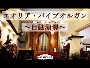 【小樽オルゴール堂 2号館】エオリア・パイプオルガン 自動演奏（イギリス・エオリア社）