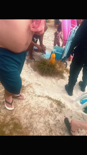 Fiscalização de Postura na Praia do Forte