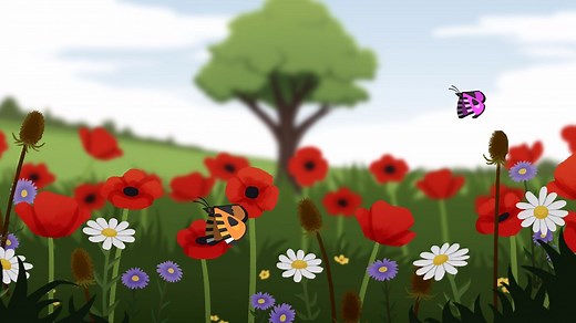 What does a plant need to grow? - BBC Bitesize