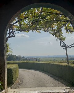 Sipping local wine while learning about it makes every trip to France so delicious. From white Burgundy to Bordeaux blends, the experts at Wine Access are helping us demystify the historic, famous, and delicious world of French wine here: https://bit.ly/3MTwurT Santé! | EF Go Ahead Tours | Facebook