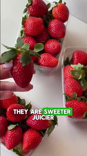 The 3-Week Strawberry Window Millions Wait For (And Why Store-Bought Fails) ⏳
