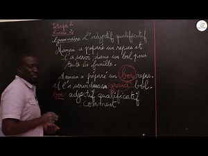 Course - CE1 - French: Grammar / The qualifying adjective / M. Guèye