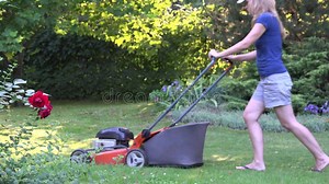 Red Bush Stock Footage & Videos - 23,255 Stock Videos