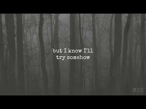 Days Gone Quiet | Lewis Capaldi | Lyrics ☾☀