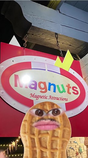 Explosive Nutter: Uncover the MagNUTS