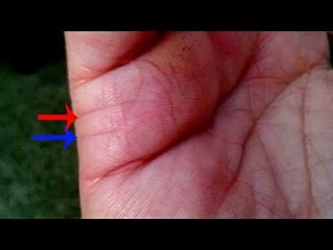 #37 MARRIAGE LINES EXAMPLE PALM READING