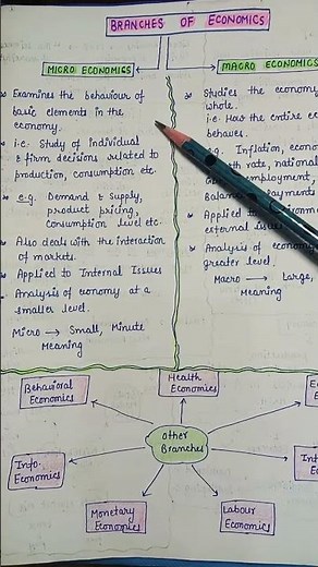 Branches of Economics -- Mirco & Macro Economics || Handwritten notes || An Aspirant !
