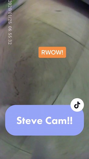 Communicating with Your Cat: Understanding KittyNips and Cat Communication