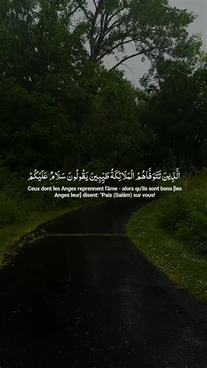 reposer votre oui et votre cœur récitation Quran belle voix par abdoullah matrood #quranrecitation #quran_alkarim #quran #القرآن_الكريم #fpy