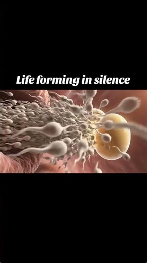 Life Forming in the Silence | The Hidden Beginning of Human Life | Animated Explanation