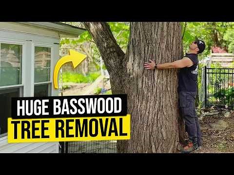 Tree Removal Made Easy! 3-Man Crew + Knuckle Boom Crane!