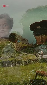 36 reactions | If you're ready to hit the Irish countryside with great shots accompanied by John Ford and John Wayne, The Quiet Man is the suggestion of the week on FilmBox+!  Oscar winner for Best Director and Best Cinematography, The Quiet Man tells the story of Sean returning from America to his native land, and his love for the beautiful young Mary. 懶 Title availability on FilmBox+ varies by territory. | FilmBox | Facebook