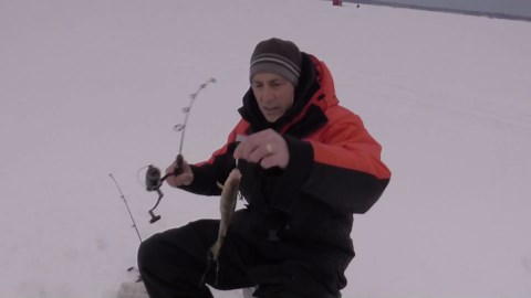 Ice fishing for perch on Sodus Bay, NY