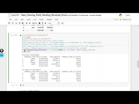 Handling Structural Error using Python | Data Cleaning Tutorial 3