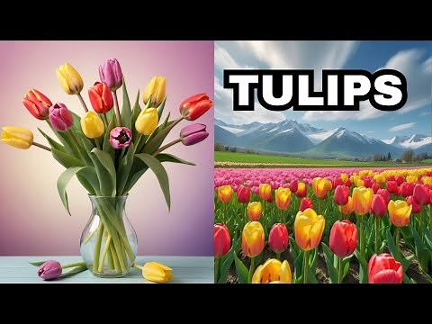 Tulip Flower | All About Tulips for Kids | Learn About Tulips for Children | World of Tulips