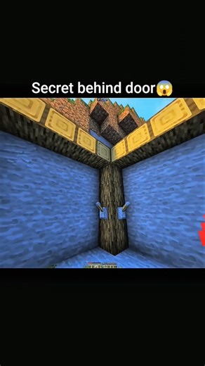 both doors have secret 😱 #shorts #minecraft
