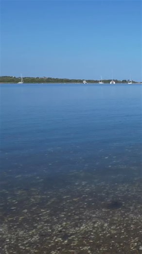 2K views · 160 reactions | Chasing that #blockislandbliss  @biearthworks #blockisland #myblockisland #blockislandzen #blockislandadventure #travel #blockislandlove #oceanstate #wanderlust #blockislandbound | Block Island Tourism | Facebook