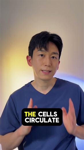 stem cell therapy with IV vs intrathecal #stemcells #stemcellinjection
